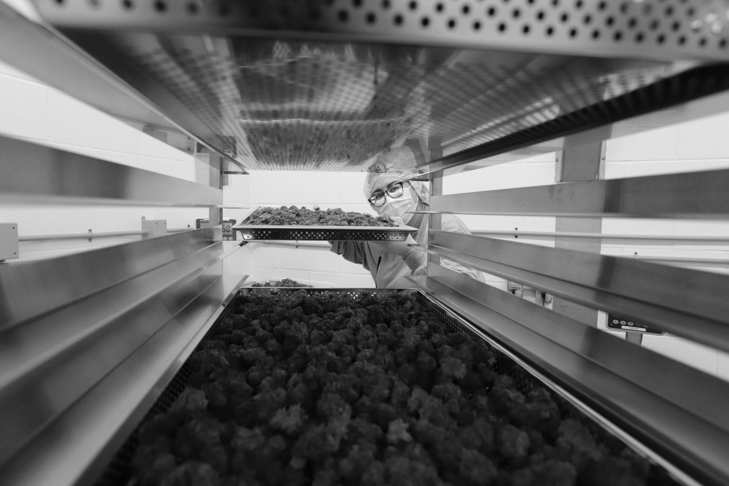 IMG_4635