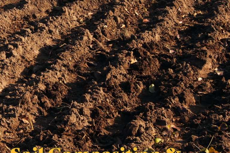 soil-comp