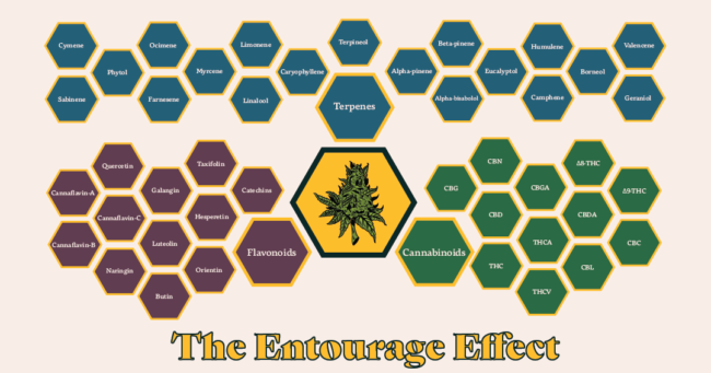 Entourage-effect