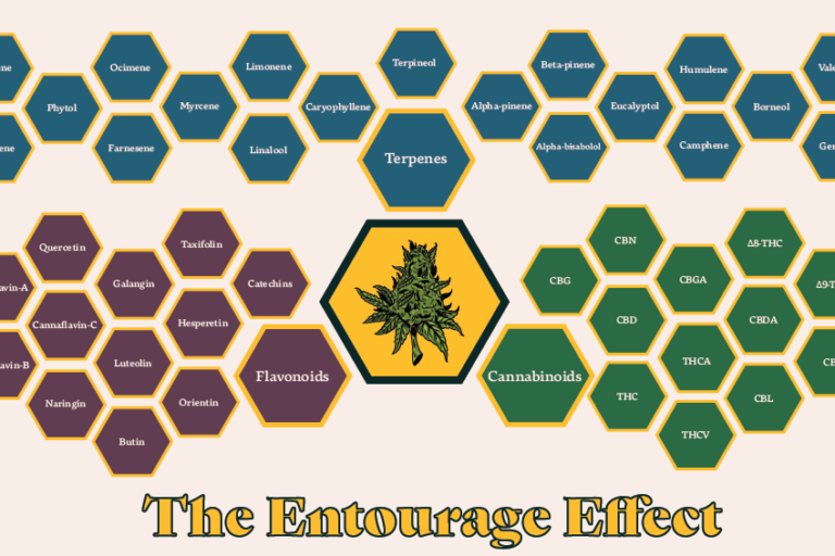 Entourage-effect